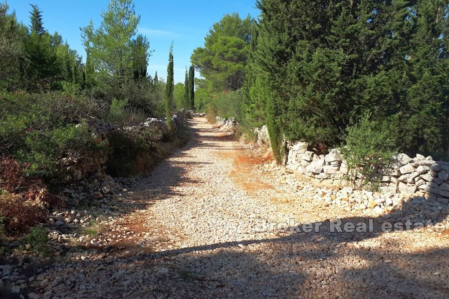 Terreno agricolo con rudere in pietra