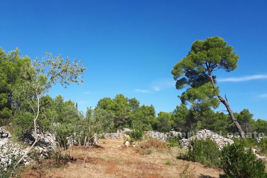 Terreno agricolo con rudere in pietra