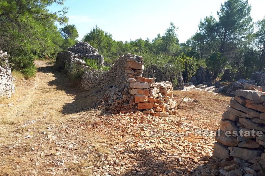 Terreno agricolo con rudere in pietra