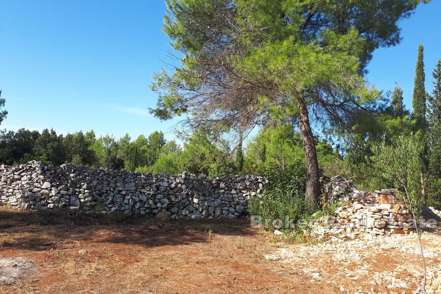 Terreno agricolo con rudere in pietra