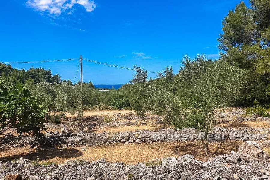 Terreno edificabile con vista sul mare, in vendita