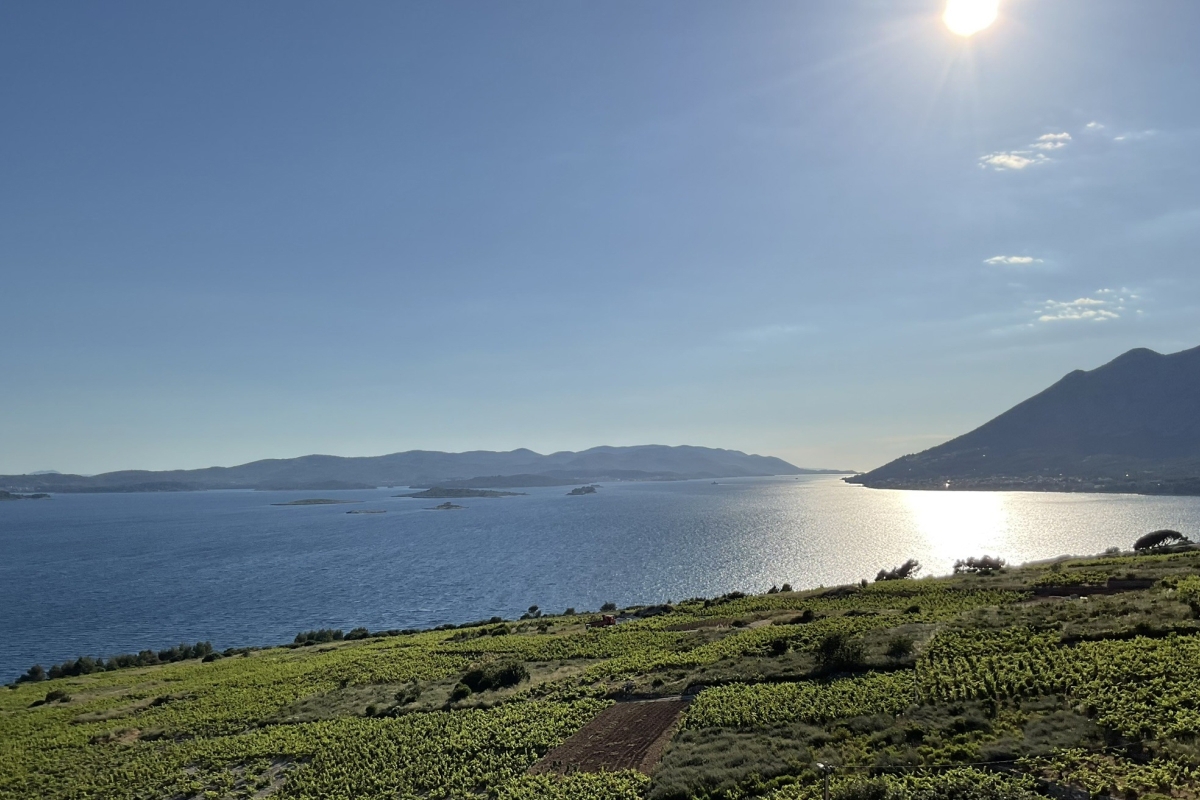 Villa con piscina e vista mozzafiato sul mare aperto