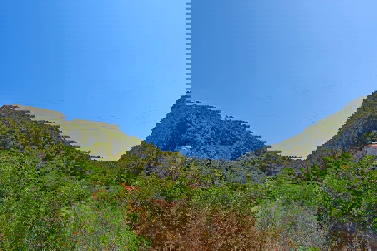 Terreno edificabile con vista mare