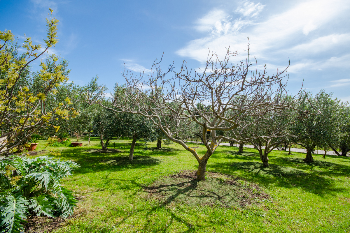 Proprietà eccezionale con vista mare