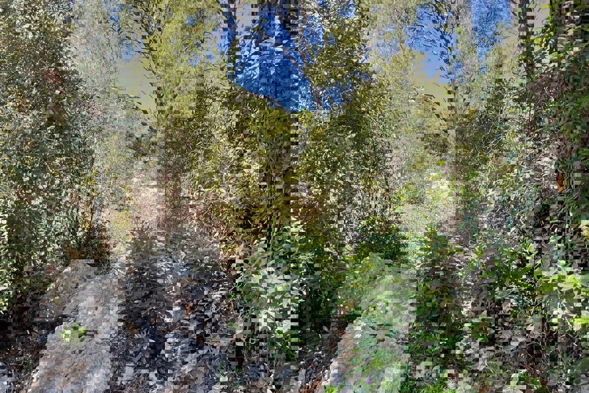 Terreno con vista mare