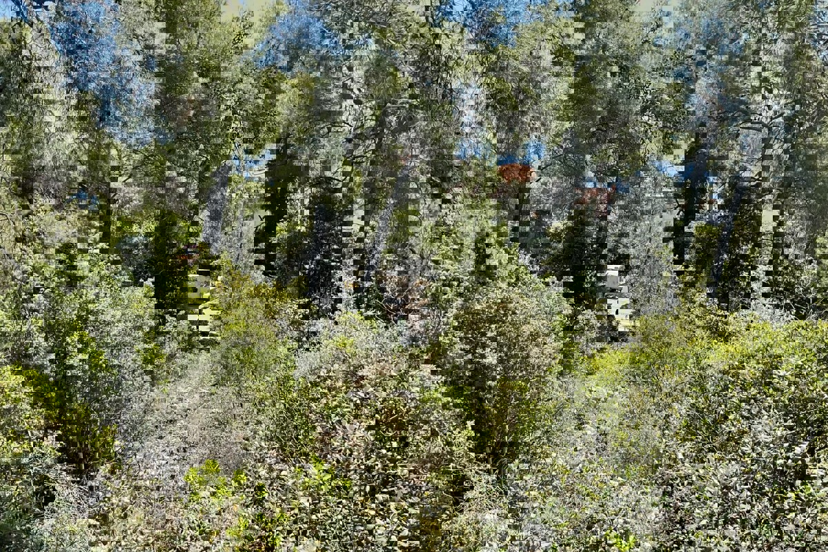 Terreno con vista mare