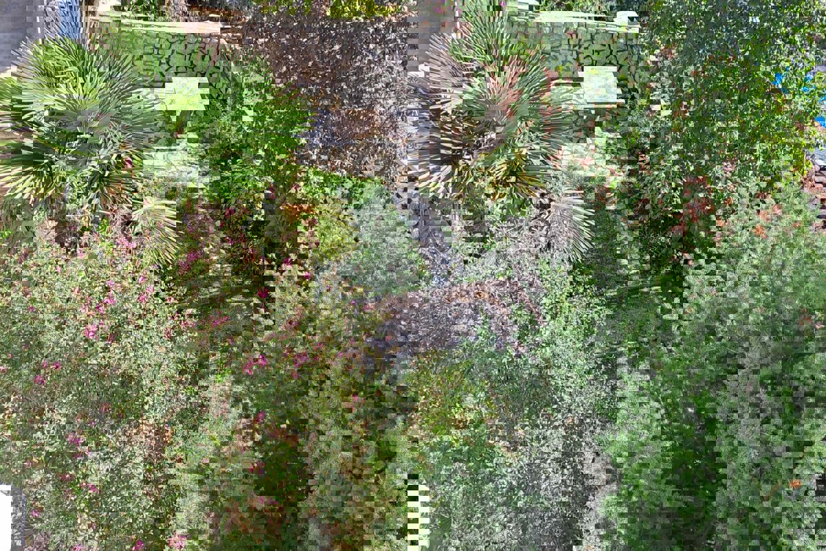 Ampio appartamento con taverna e vista mare