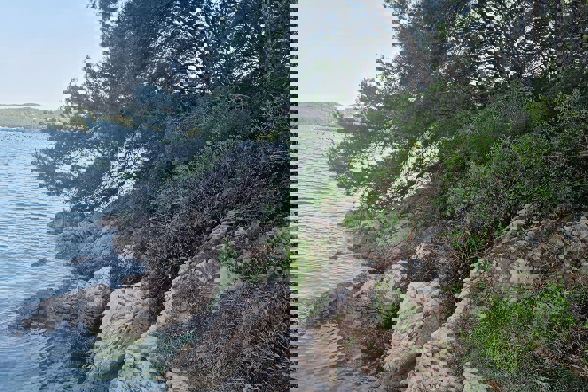 Isola privata, un'oasi di pace nel cuore della natura