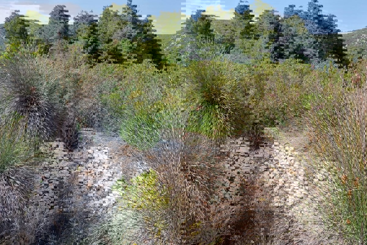 Isola privata, un'oasi di pace nel cuore della natura