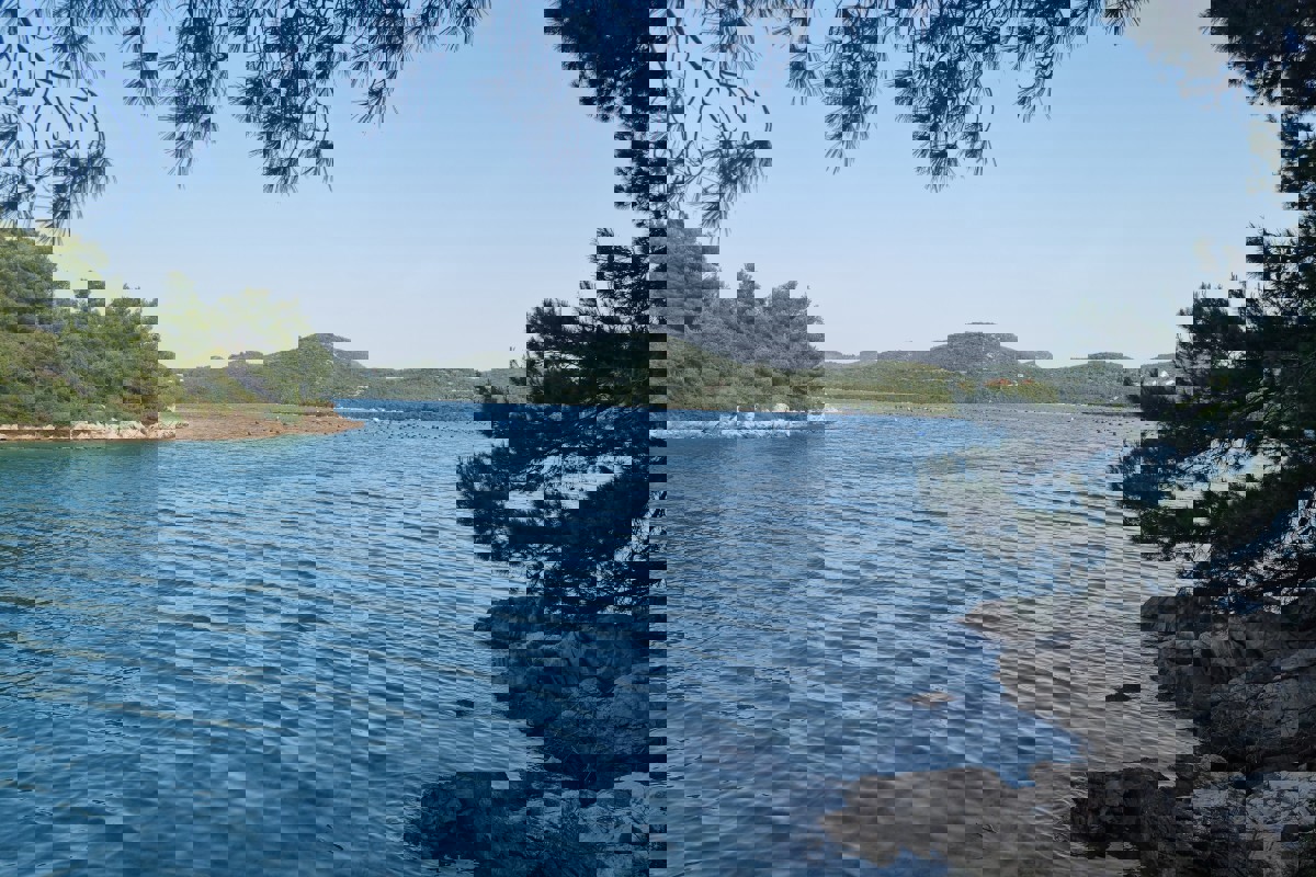 Isola privata, un'oasi di pace nel cuore della natura