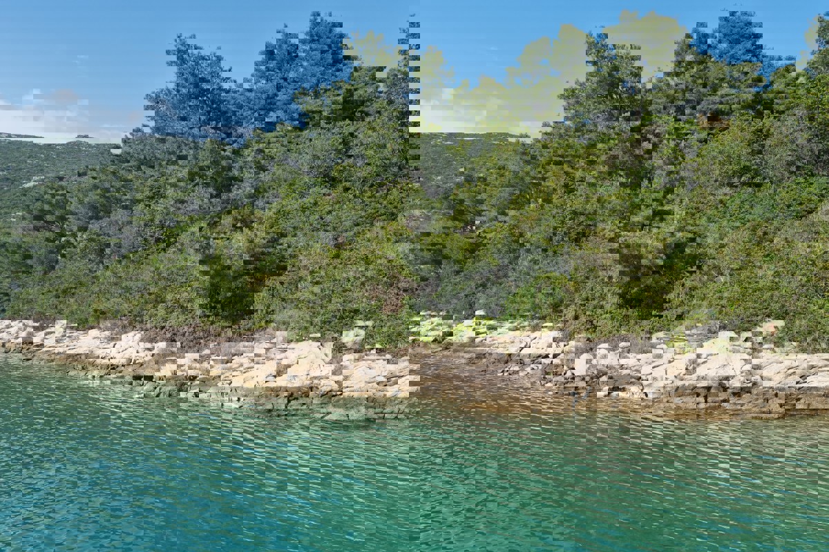 Isola privata, un'oasi di pace nel cuore della natura