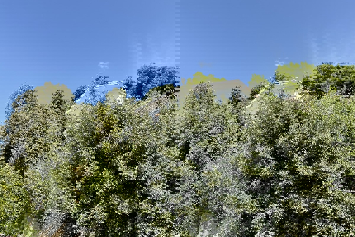 Casa con vista panoramica