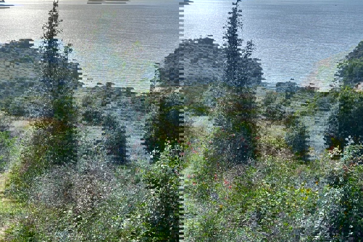 Terreno edificabile con progetto in prima linea sul mare