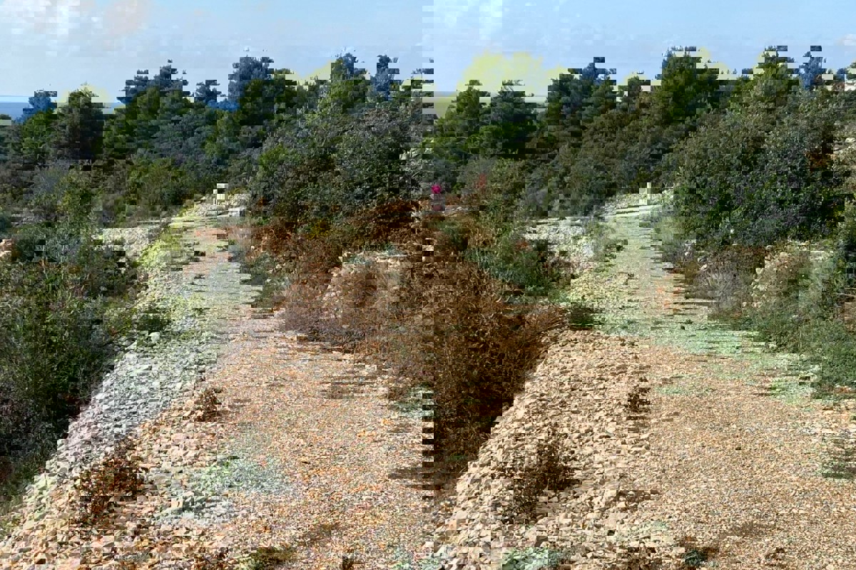 Terreno edificabile con progetto in prima linea sul mare