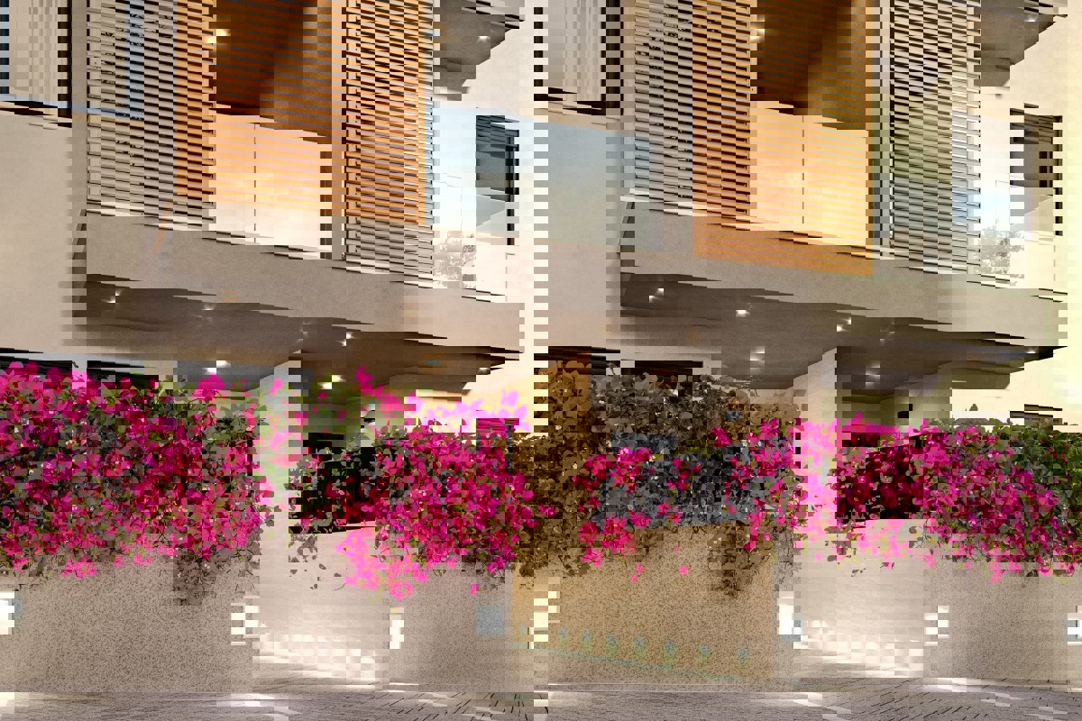 Monolocale in un nuovo edificio al primo piano