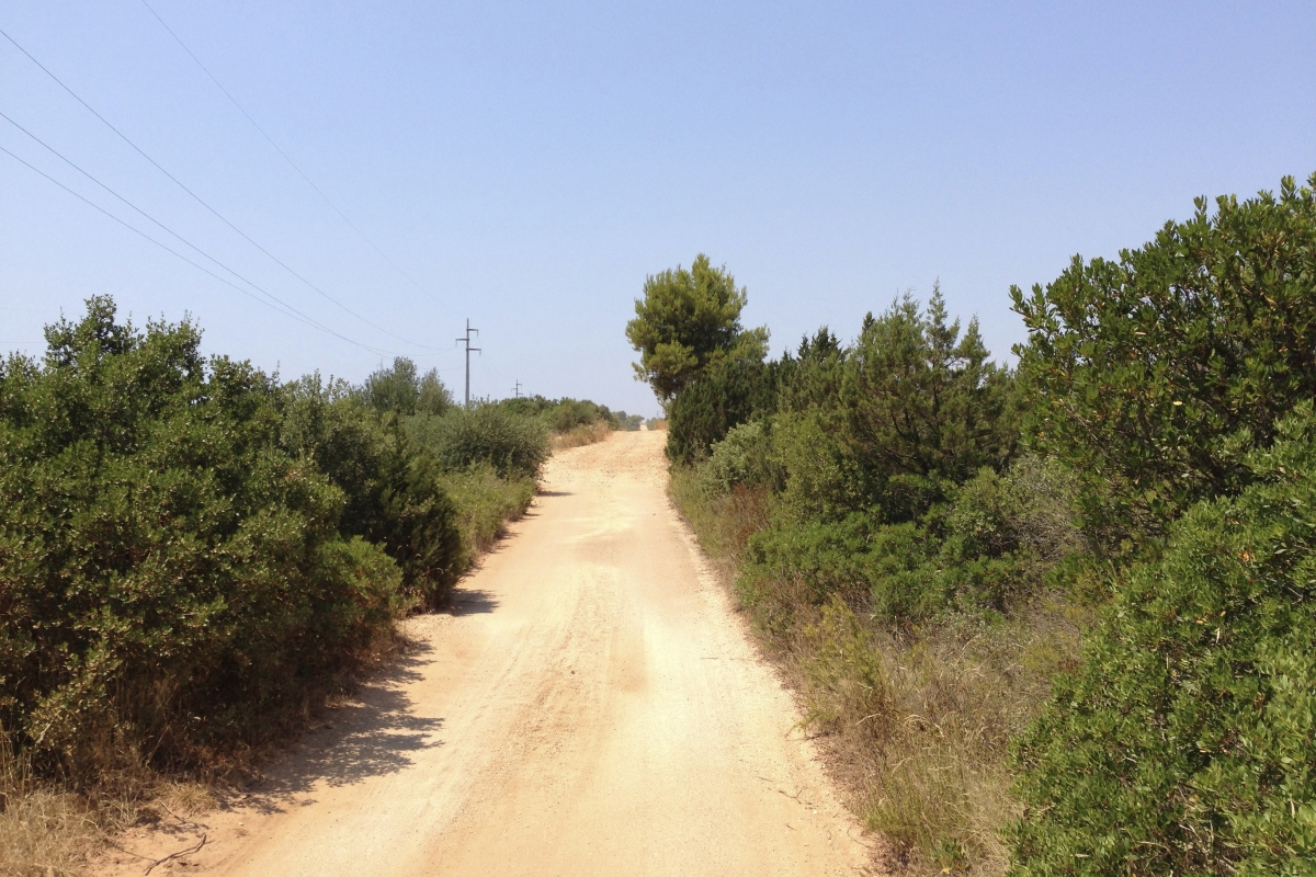 Ampio terreno agricolo vicino al mare