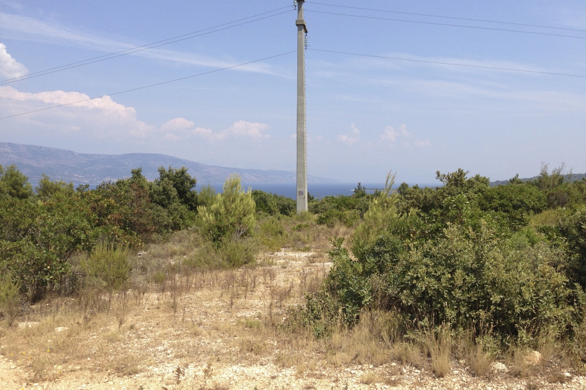 Ampio terreno agricolo vicino al mare