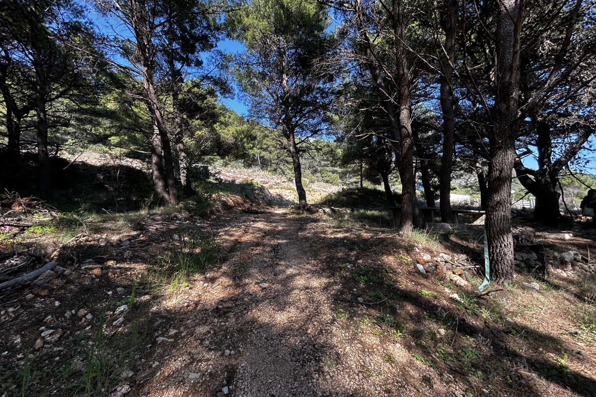 Terreno edificabile in prima fila fronte mare, zona T3