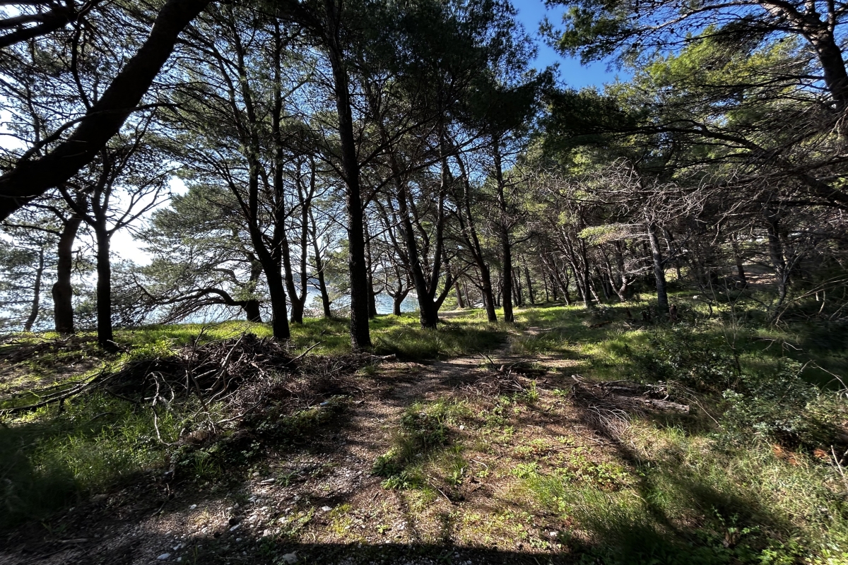 Terreno edificabile in prima fila fronte mare, zona T3