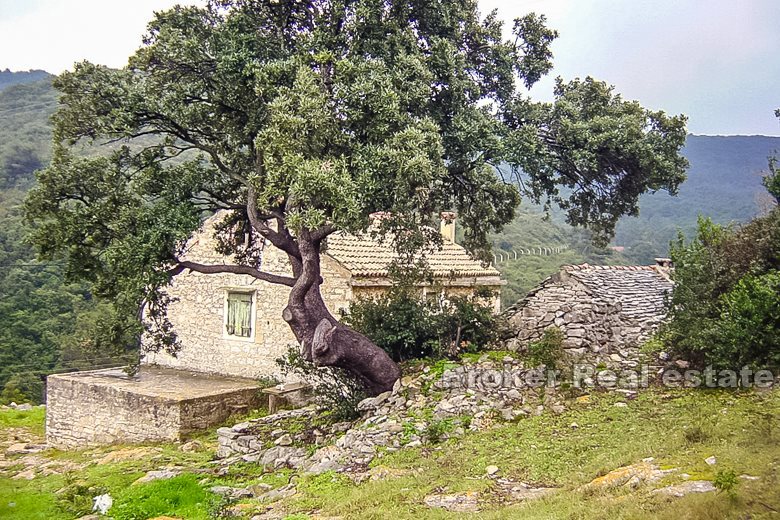 Proprietà con vecchie case in pietra