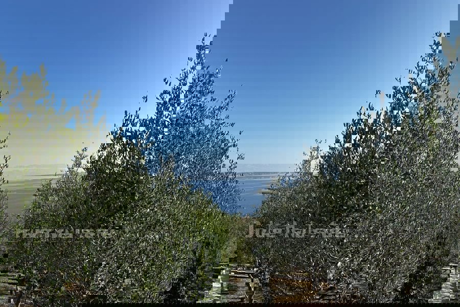 Villa in seconda fila al mare