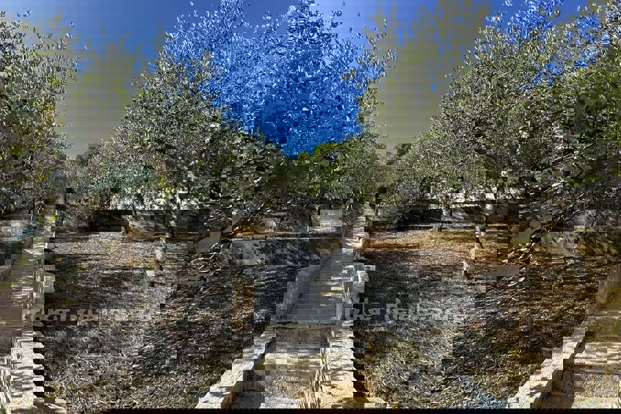 Villa in seconda fila al mare