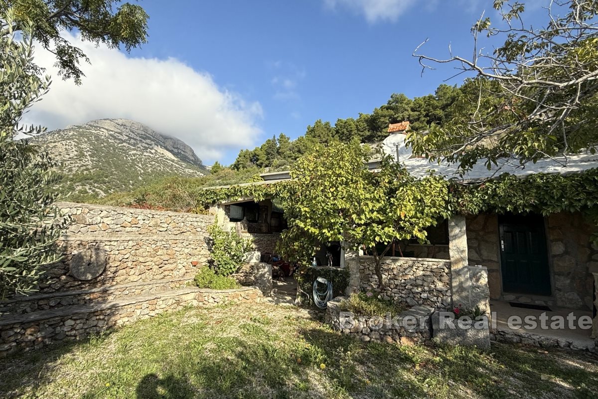 Terreno agricolo unico con un edificio e una splendida vista sul mare