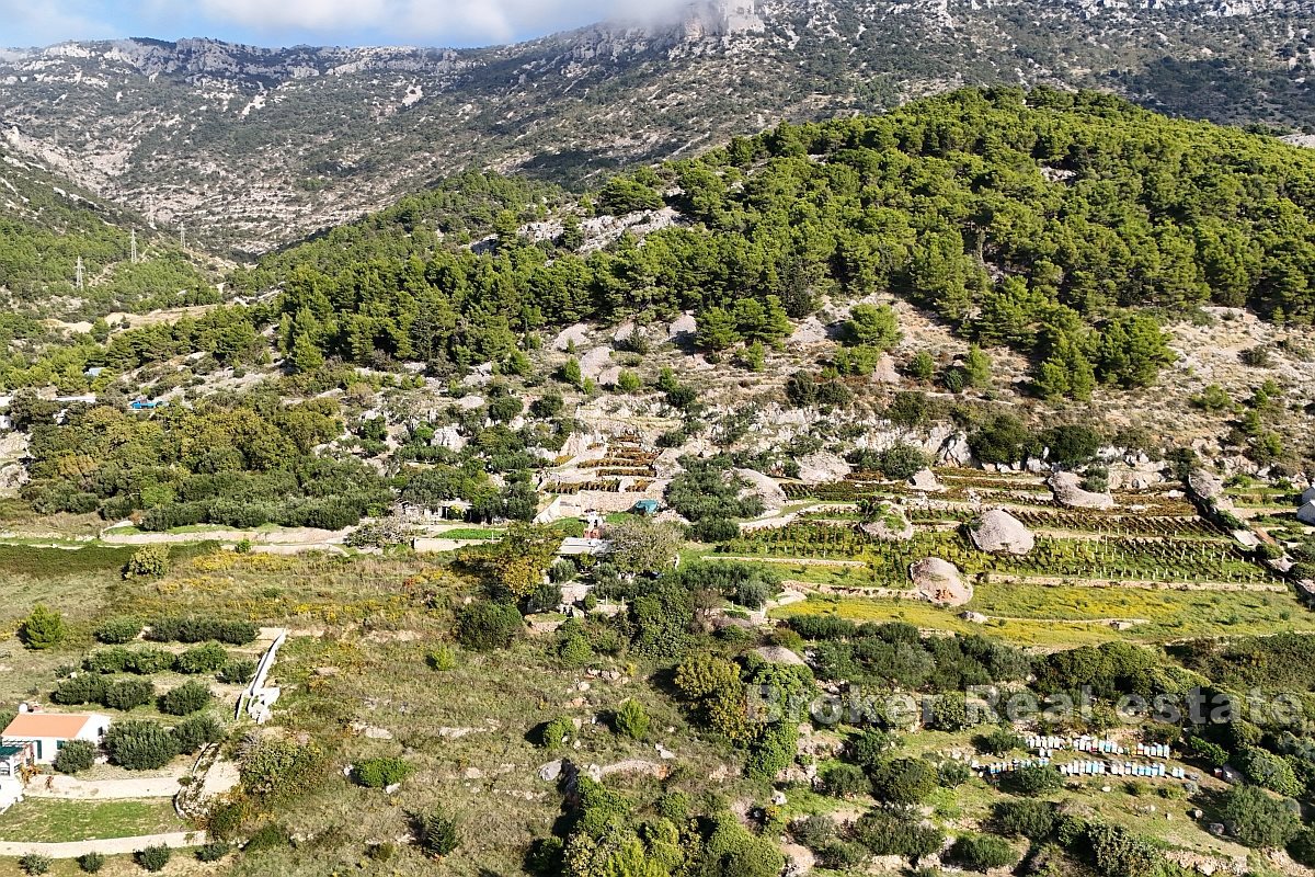 Terreno agricolo unico con un edificio e una splendida vista sul mare