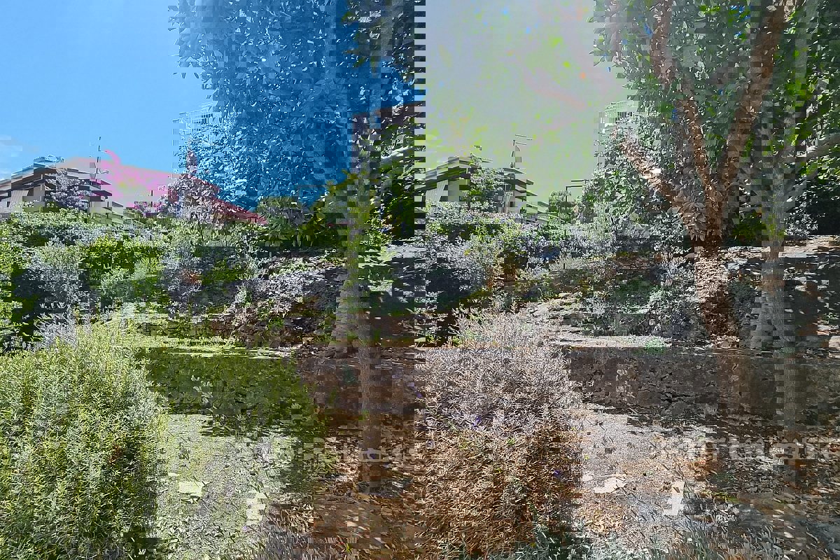 Casa con giardino e vista mare