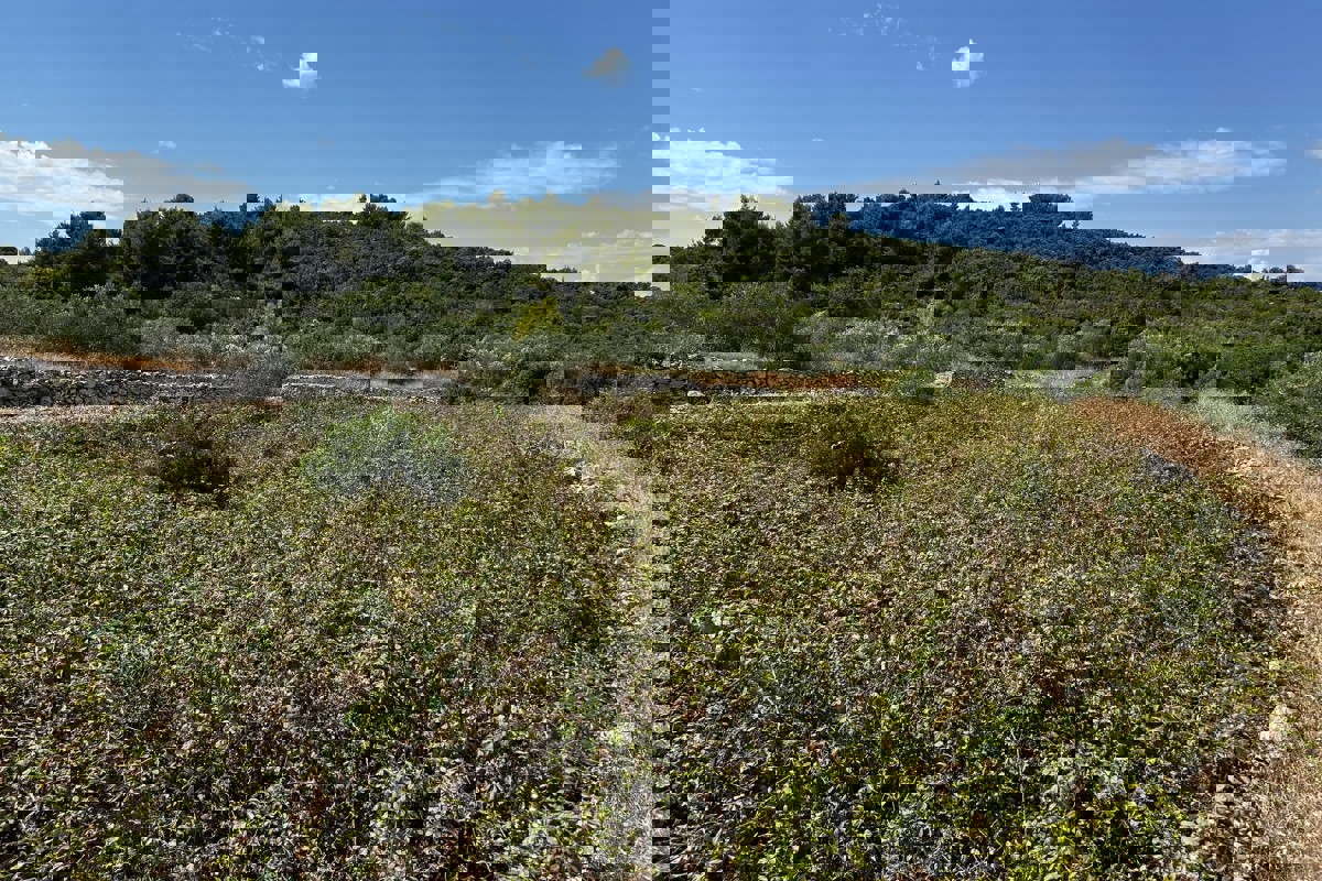 Terreno edificabile con vista mare