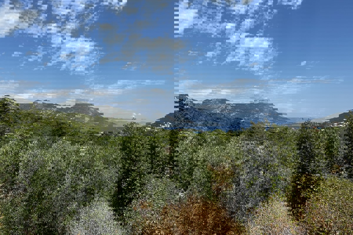 Terreno edificabile con vista mare