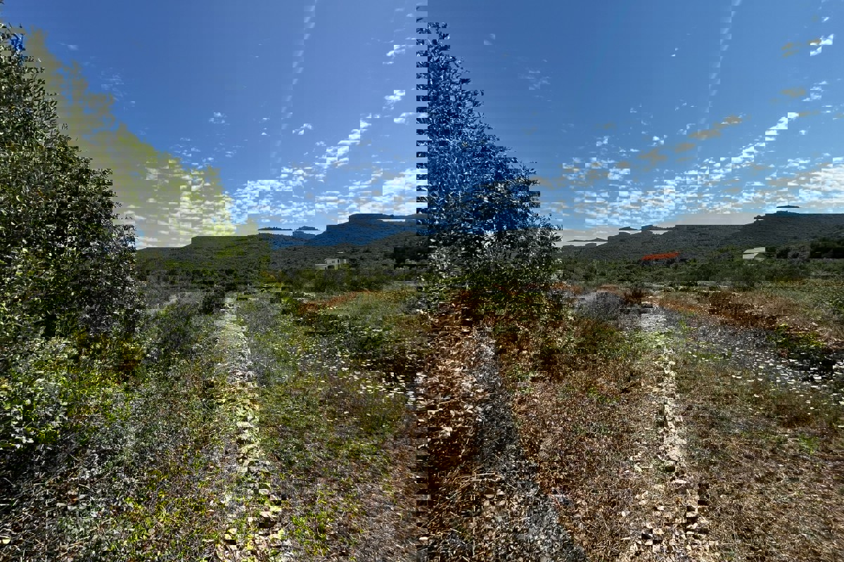 Terreno edificabile con vista mare