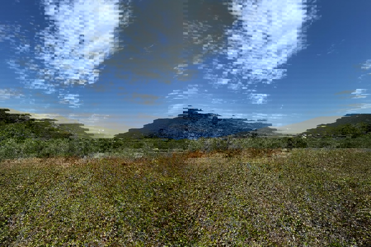 Terreno edificabile con vista mare