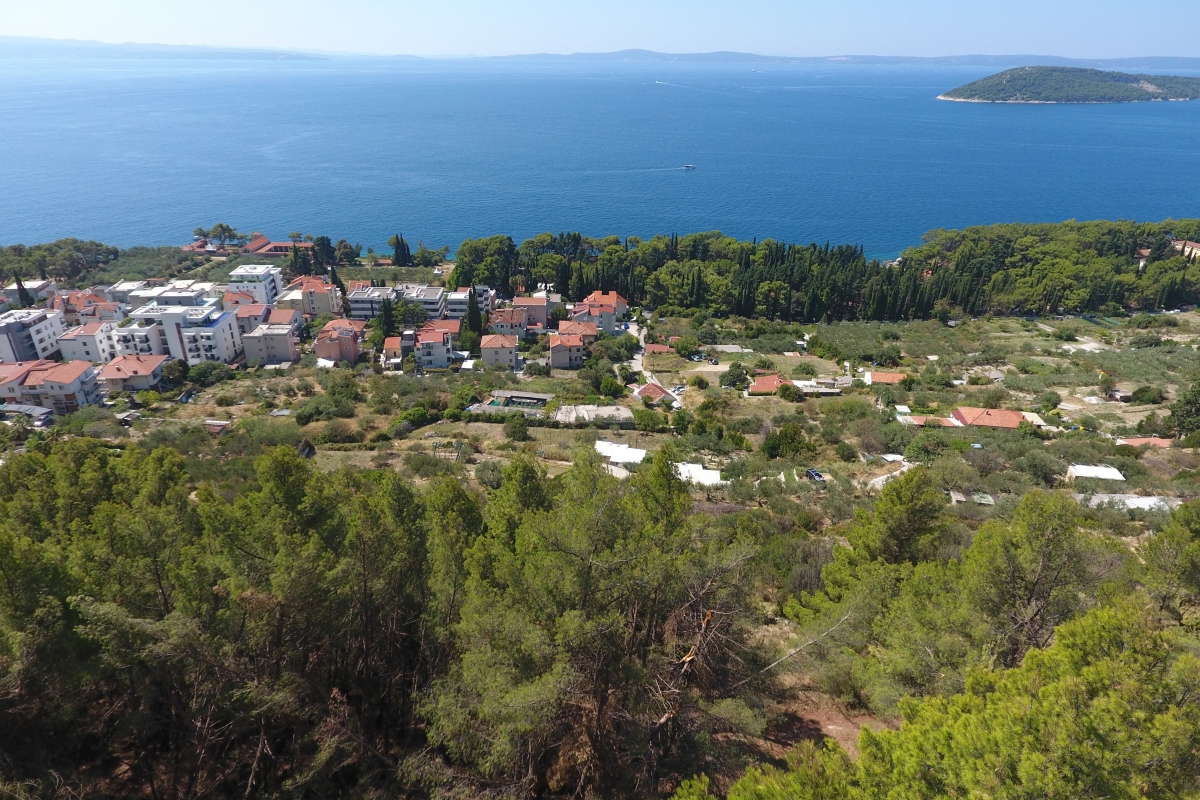 Terreno agricolo con vista mare