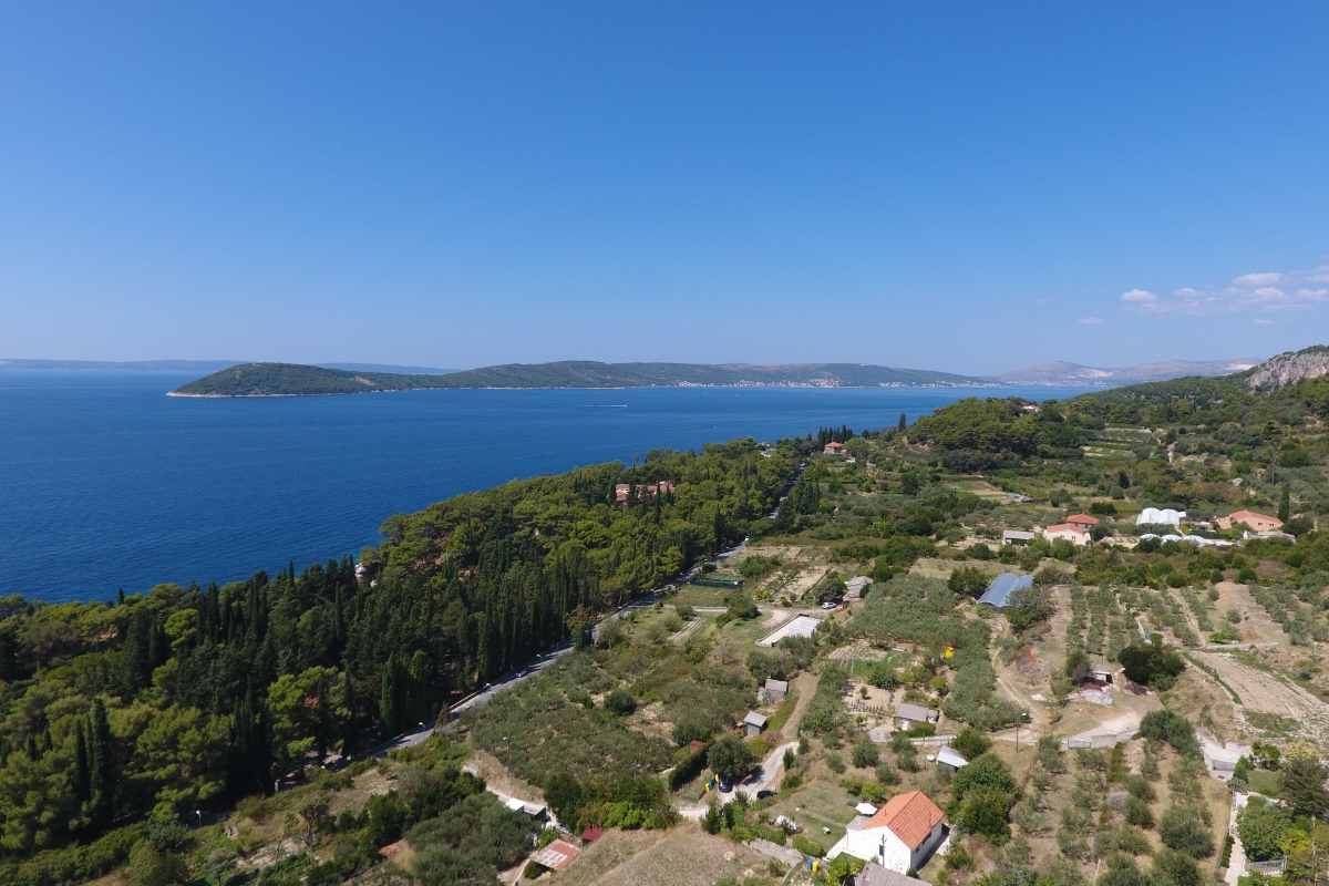 Terreno agricolo con vista mare