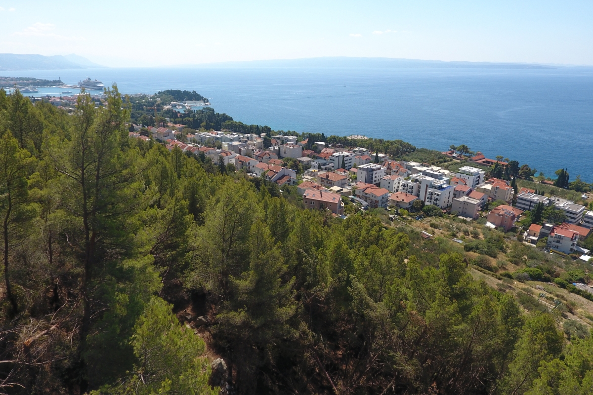 Terreno agricolo con vista mare