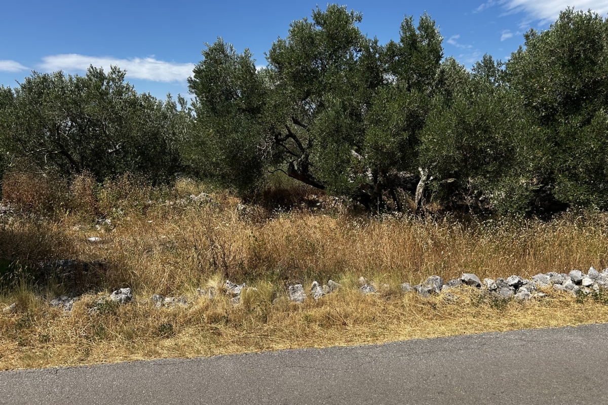 Terreno con vista mare