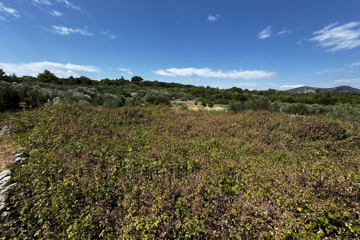 Terreno con vista mare