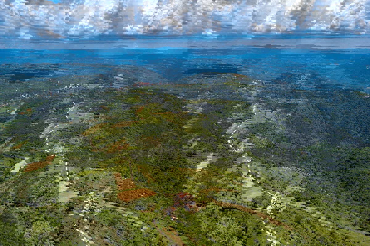 Proprietà unica con un design concettuale e un grande potenziale di investimento