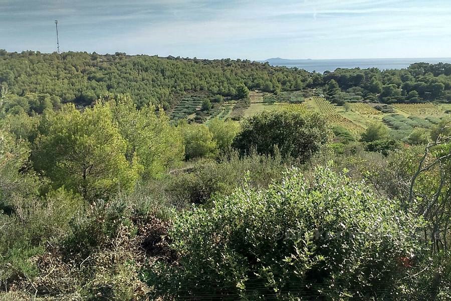 Terreno edificabile con vista mare