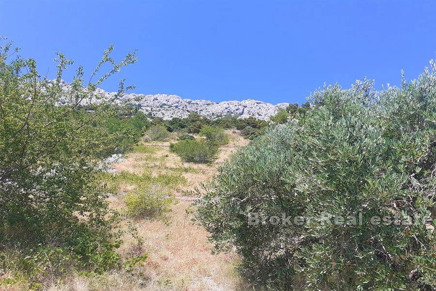 Terreno edificabile con vista panoramica sul mare