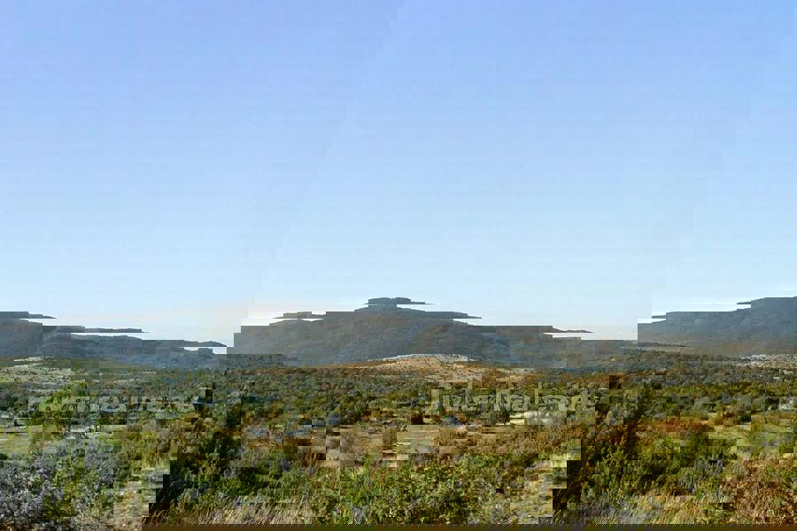 Ampio terreno agricolo