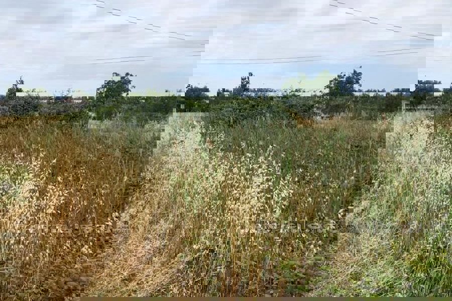 Atterra in prima fila verso la zona di mare R1