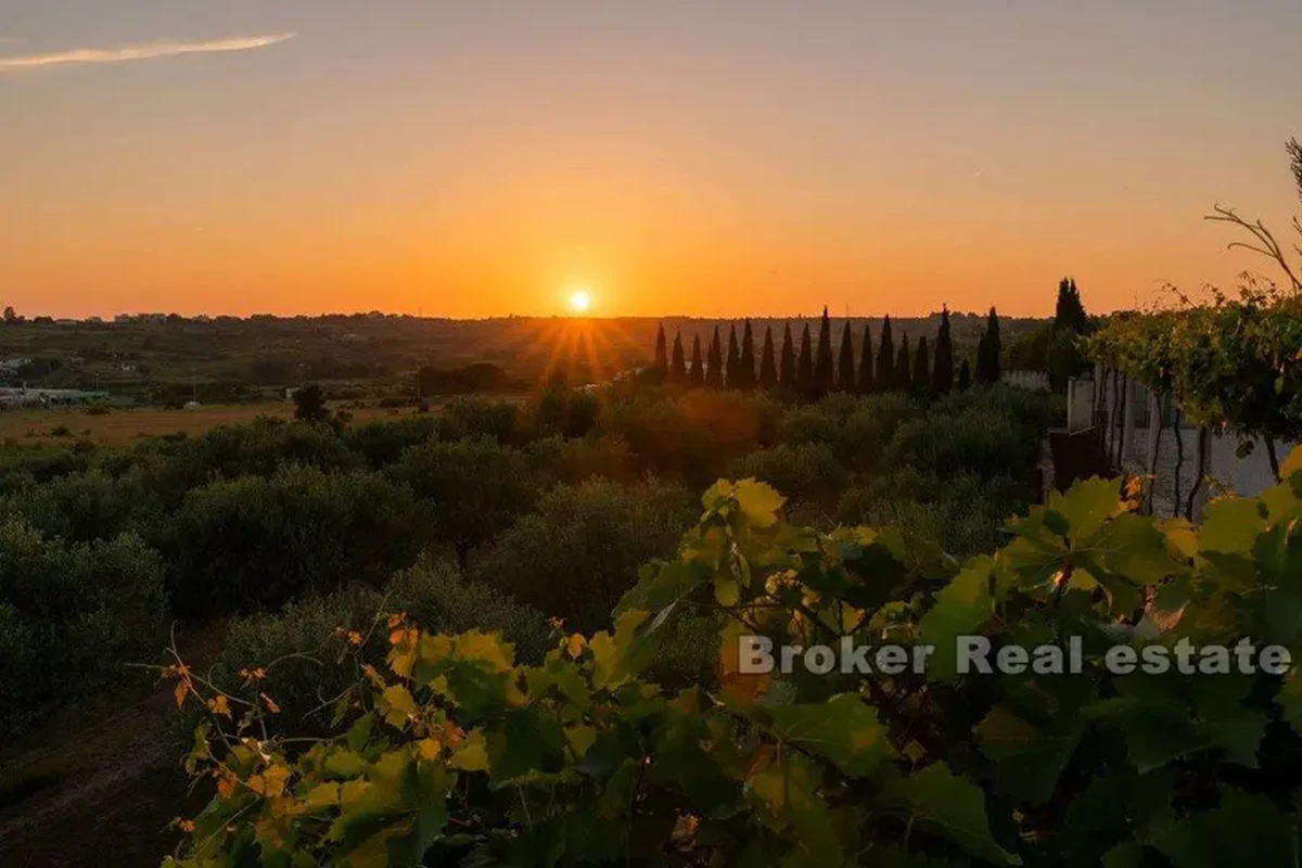 Villa contemporanea con vista panoramica sul mare