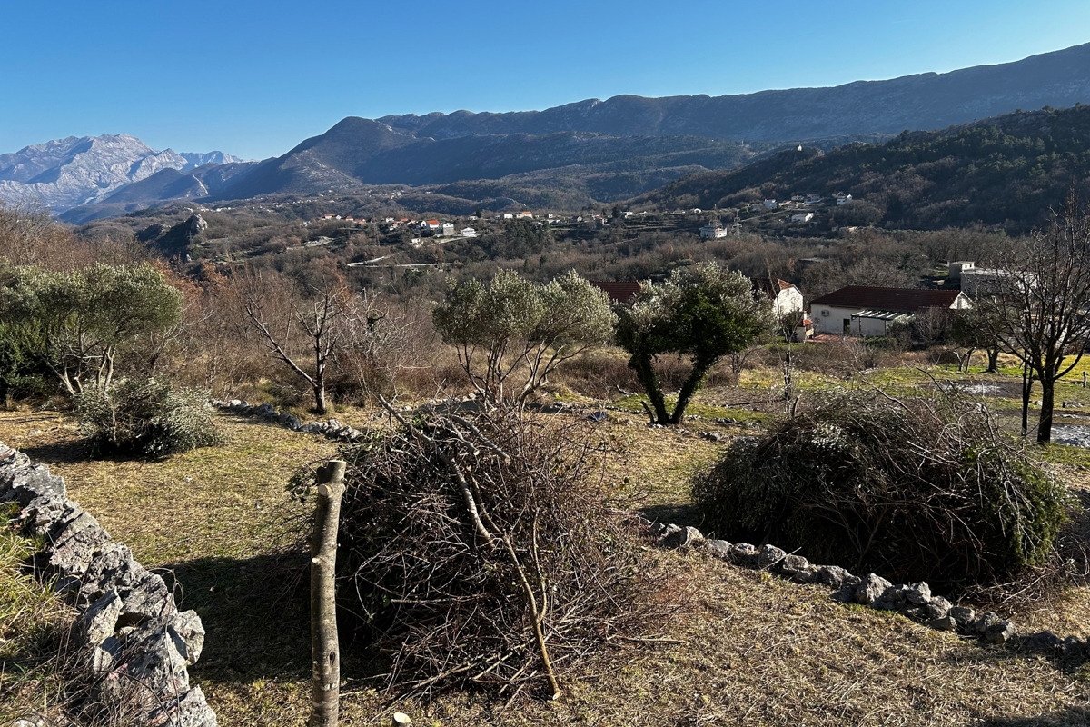Ampio terreno edificabile in posizione tranquilla