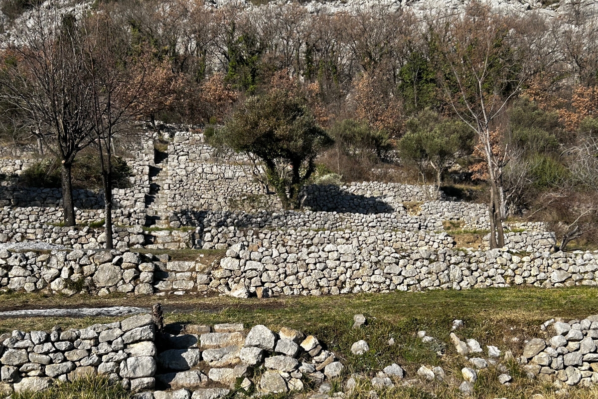 Ampio terreno edificabile in posizione tranquilla
