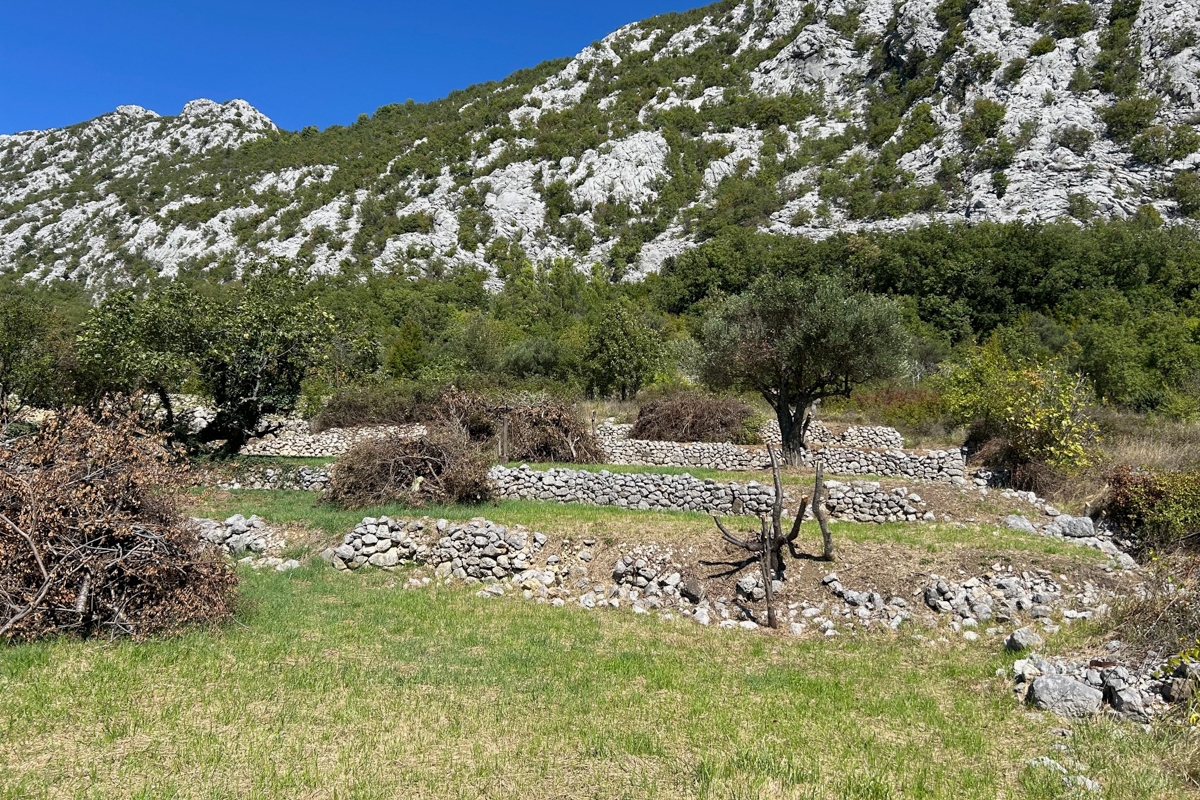 Ampio terreno edificabile in posizione tranquilla