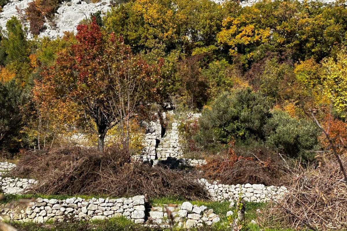 Ampio terreno edificabile in posizione tranquilla