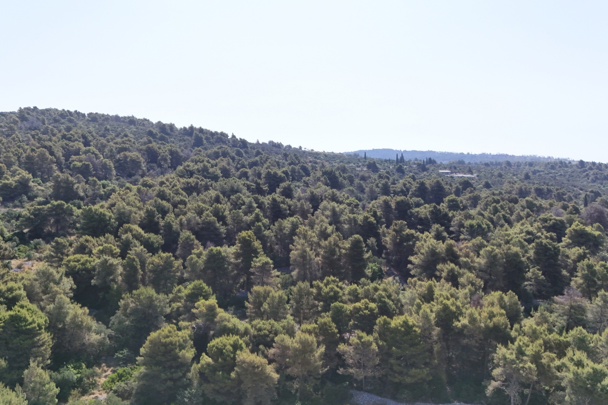 Terreno con vista mare
