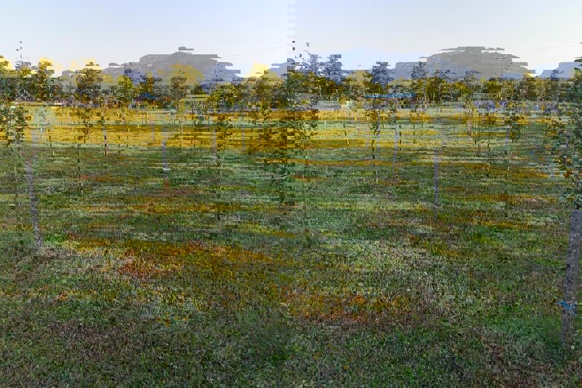 Ampia tenuta con case in pietra